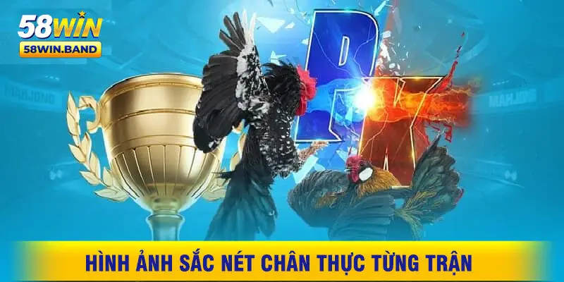 Hình Ảnh Sắc Nét Chân Thực Từng Trận